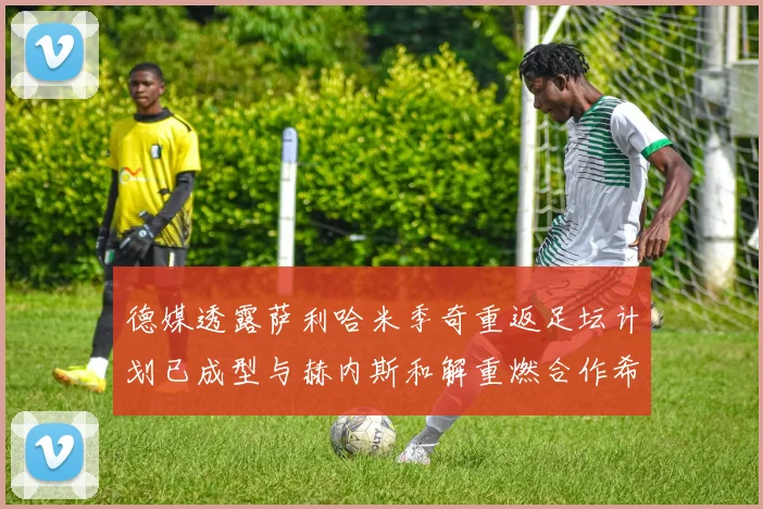 德媒透露萨利哈米季奇重返足坛计划已成型与赫内斯和解重燃合作希望